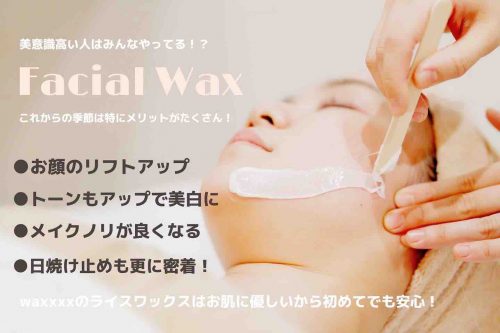 Waxxxx導入スクール