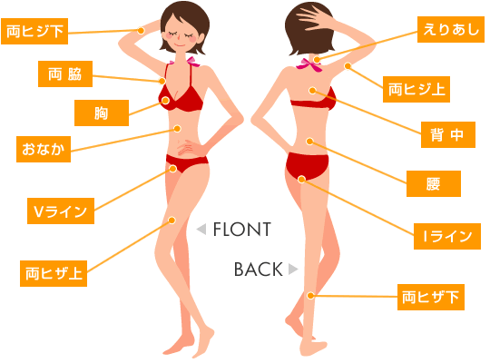 脱毛範囲の説明図