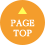 Page Top