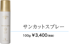 サンカットスプレー 100g 3400円