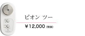 ピオン ツー　12000円